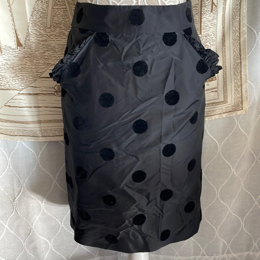 J Crew Skirt